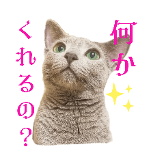 麗しのひなたさん