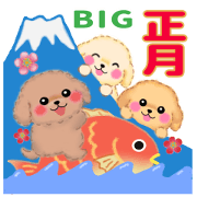 toy poodles new year (modified ver.)