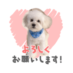 omochi_20221205180534