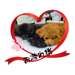 Arisa_20221205192211