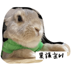 まろわたの日常