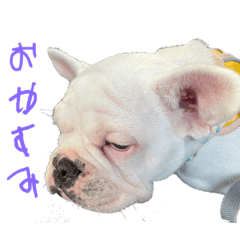 aoi_20221205210132