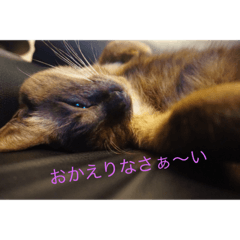 yukari_20221205212305