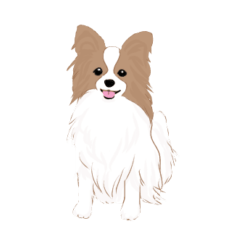 lovely Papillon dog stickers3