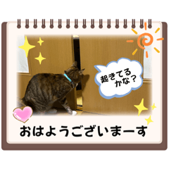 yuka_20221206131308