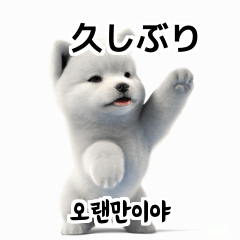 Samoyed KR EN JP TH CN TW WKt