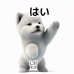 Samoyed KR EN JP TH CN TW eL4