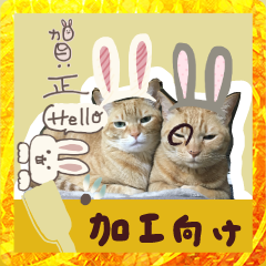Sticker for decoration ! 6-nenga
