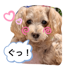 yuka_20221207065219