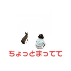 Hana_20221206152913