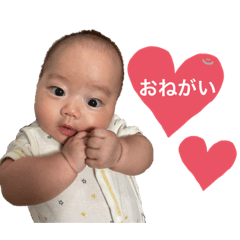 sak_20221206164112