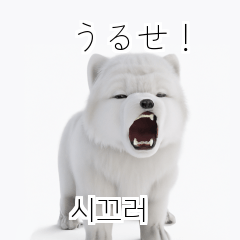 韓国語会話 サモエド犬KRJP v3c