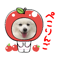 Yuka_20221206211121