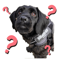 saori_20221206214334