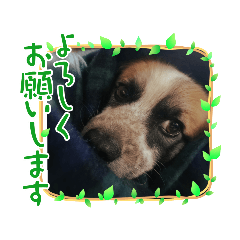 Yuka_20221206225936