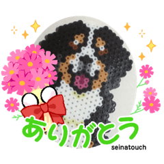 seinatouchのアイロンビーズ　バーニーズ♪