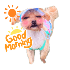 Hiyori_20221206185934