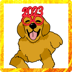 New Year with Golden Retrievers