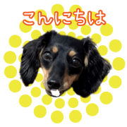 Buu-chan stamp.