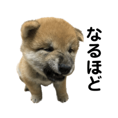 mizuki_20221206231920