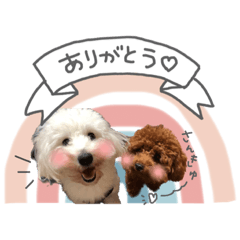 aoi_20221207143527