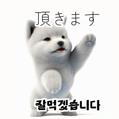 韓国語会話 サモエド犬KRJP kom