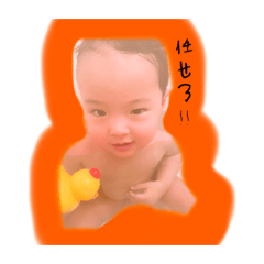 tanuki_20221207145433