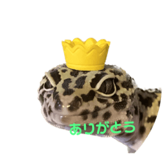 tori_20221207151010