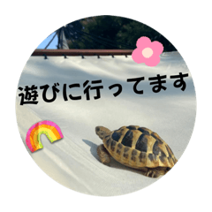 Mitsuki_20221207183427