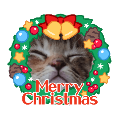 クリスマスとお正月保護猫スタンプ