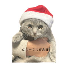 rina_20221207234314