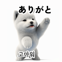 Samoyed KR EN JP TH CN TW V25