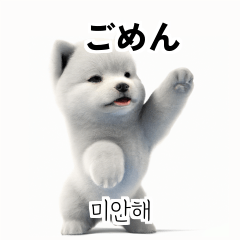 Samoyed Dog KR EN JP TH CN TW M6h