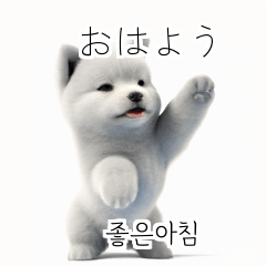 Samoyed Dog KR EN JP TH CN TW duf