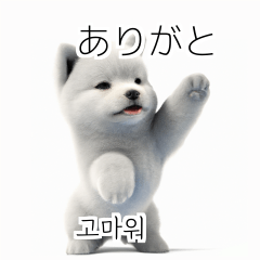 Samoyed Dog KR EN JP TH CN TW m8n