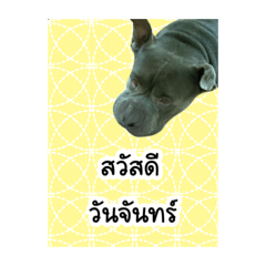 june_20221207143016