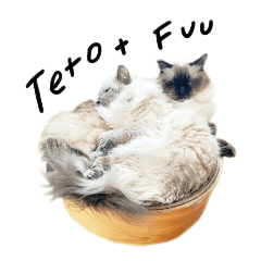 Teto&Fuu