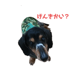 aoi_20221207202558