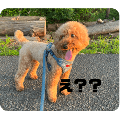 arisa_20221207230628