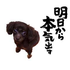 hikaru_20221208104253