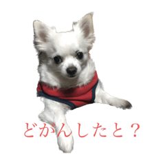 Jack_20221208143844