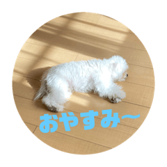 ロイの基本挨拶スタンプ