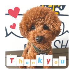 chisa_20221208142724