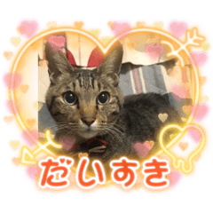 YUKA_20221209090037