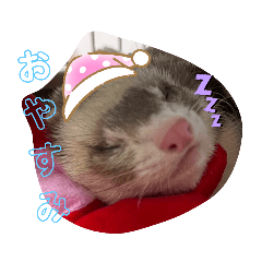 hana_20221208155429