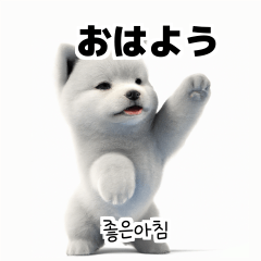 Samoyed Dog KR EN JP TH CN TW 6fJ