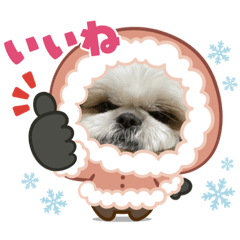 yuka_20221208190035