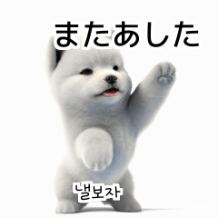 Samoyed Dog KR EN JP TH CN TW _Ps