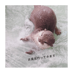 rina_20221208195129
