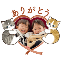 hikari_20221208212909